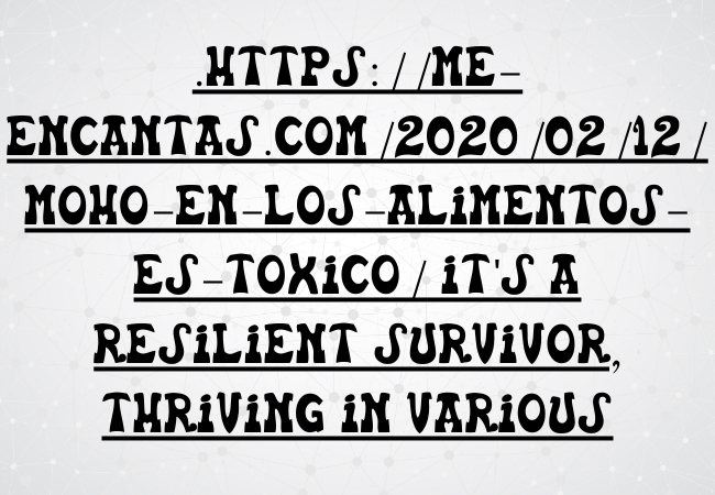 https://me-encantas.com/2020/02/12/moho-en-los-alimentos-es-toxico/