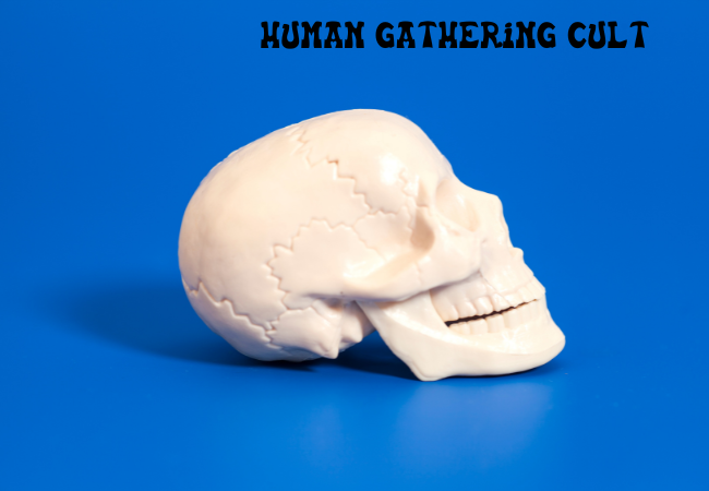 human gathering cult
